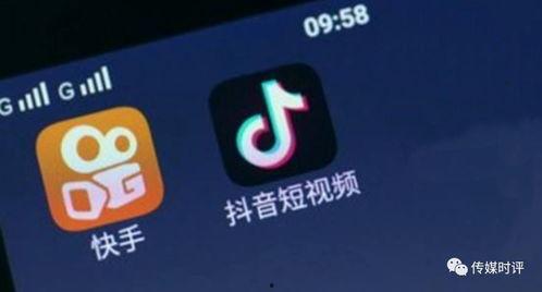 抖音海鲜大爆料视频大全,揭秘海鲜界的秘密与美味  第3张